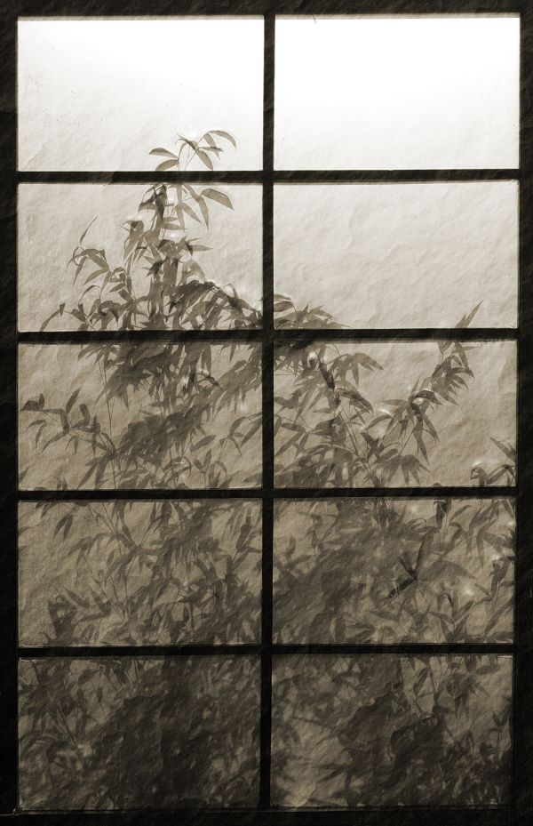 'View of the Far East' by Fiona Self of Sleaford u3a